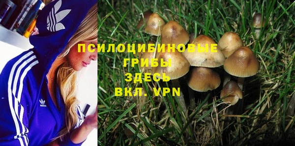 скорость Новодвинск