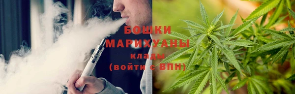 сатива Барнаул