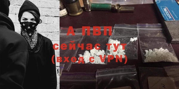 тгк Новокубанск
