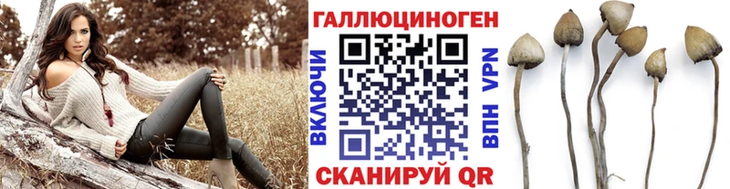Галлюциногенные грибы Psilocybe  Клин 