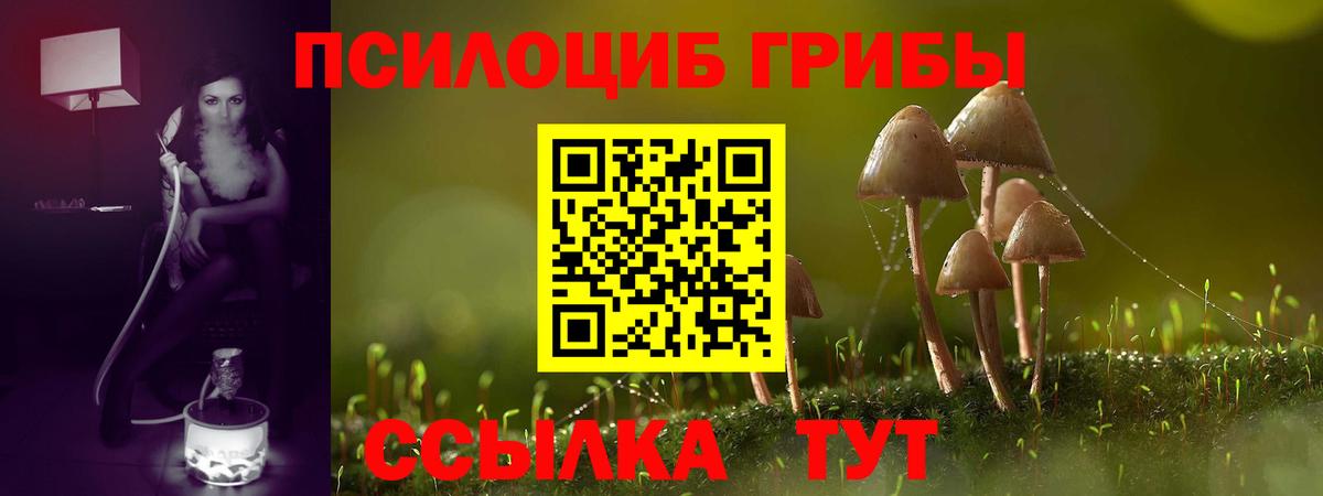 Галлюциногенные грибы Cubensis  Вход с VPN  Клин 